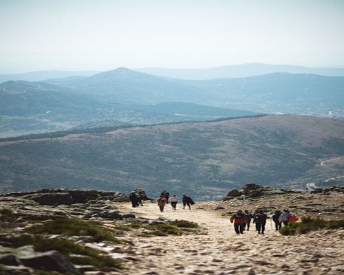group of people walking in nature during daytime